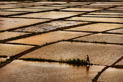 6. TARIM VE İNSAN FOTOĞRAF YARIŞMASI - Mehmet Ali ŞENGÜL