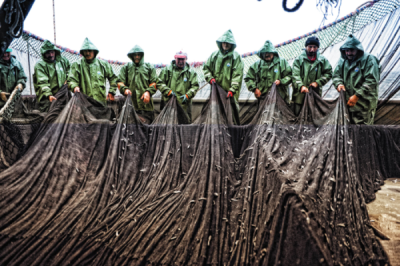 6. TARIM VE İNSAN FOTOĞRAF YARIŞMASI - Kemal ÖZKILIÇ