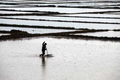 6. TARIM VE İNSAN FOTOĞRAF YARIŞMASI - Caner BAŞER