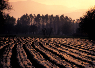 6. TARIM VE İNSAN FOTOĞRAF YARIŞMASI - Abit KULLEBİ
