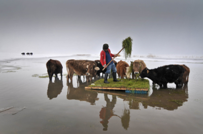 6. TARIM VE İNSAN FOTOĞRAF YARIŞMASI - Ahmet Fatih DÖNMEZ
