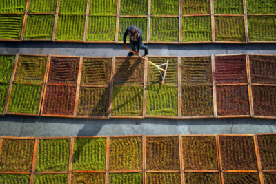 6. TARIM VE İNSAN FOTOĞRAF YARIŞMASI - Ahmet Turan KURAL 