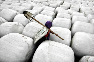 6. TARIM VE İNSAN FOTOĞRAF YARIŞMASI - Alev ÖZCAN