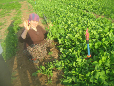 6. TARIM VE İNSAN FOTOĞRAF YARIŞMASI - Aleyna ÖZİL