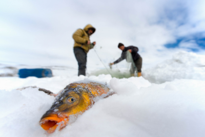 6. TARIM VE İNSAN FOTOĞRAF YARIŞMASI - Ali HAYDAR