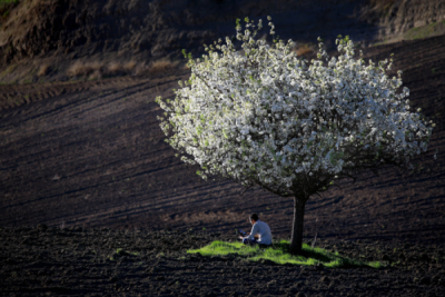 6. TARIM VE İNSAN FOTOĞRAF YARIŞMASI - Ali İhsan ÖZTÜRK