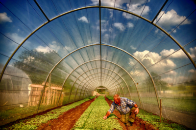 6. TARIM VE İNSAN FOTOĞRAF YARIŞMASI - Berna YILDIRIM