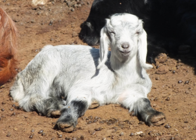 6. TARIM VE İNSAN FOTOĞRAF YARIŞMASI - Berna YILDIRIM