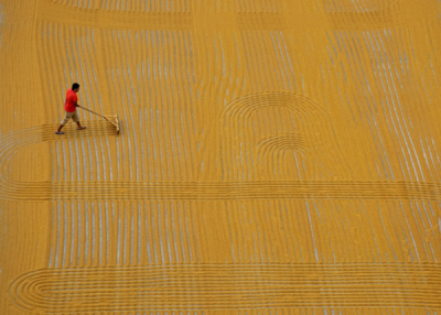 6. TARIM VE İNSAN FOTOĞRAF YARIŞMASI - Deniz KALAYCI