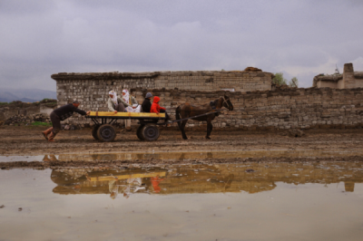 6. TARIM VE İNSAN FOTOĞRAF YARIŞMASI - İsmet DANYEL