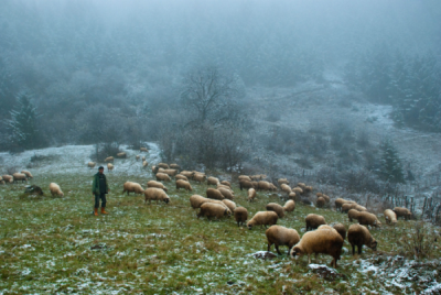 6. TARIM VE İNSAN FOTOĞRAF YARIŞMASI - Kemal Kenan USTAOĞLU