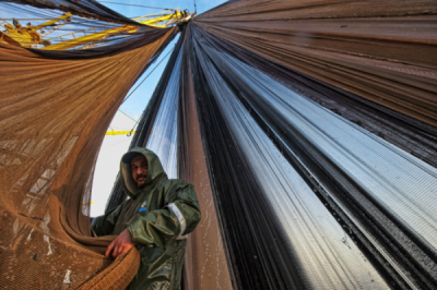6. TARIM VE İNSAN FOTOĞRAF YARIŞMASI - Kemal ÖZKILIÇ