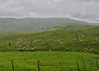 6. TARIM VE İNSAN FOTOĞRAF YARIŞMASI - Kemal ÖZKUL