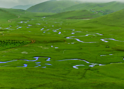 6. TARIM VE İNSAN FOTOĞRAF YARIŞMASI - Kemal ÖZKUL