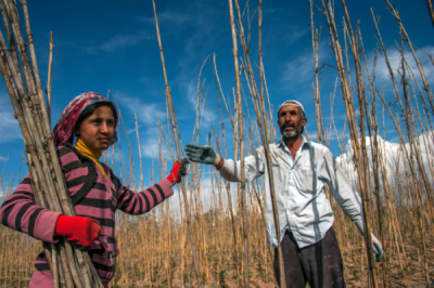 6. TARIM VE İNSAN FOTOĞRAF YARIŞMASI - Mahmut KARACA