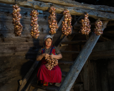 6. TARIM VE İNSAN FOTOĞRAF YARIŞMASI - Mehmet KURDAŞ