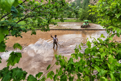 6. TARIM VE İNSAN FOTOĞRAF YARIŞMASI - Mehmet ÖZDEMİR
