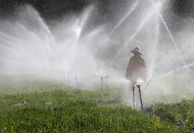6. TARIM VE İNSAN FOTOĞRAF YARIŞMASI - Mehmet ÖZDEMİR
