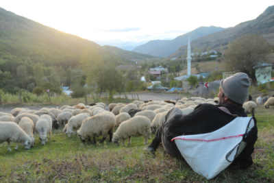 6. TARIM VE İNSAN FOTOĞRAF YARIŞMASI - Muhammet Ali GÜRSES