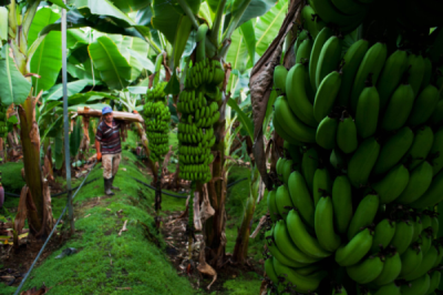 6. TARIM VE İNSAN FOTOĞRAF YARIŞMASI - Muhammed ÜNAL