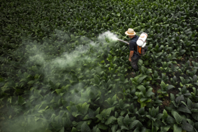 6. TARIM VE İNSAN FOTOĞRAF YARIŞMASI - Murat AKGÜN