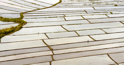 6. TARIM VE İNSAN FOTOĞRAF YARIŞMASI - Mustafa GEZER