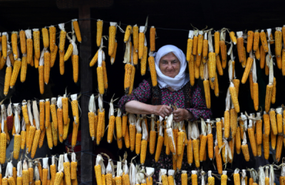 6. TARIM VE İNSAN FOTOĞRAF YARIŞMASI - Mustafa MERAL