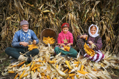 6. TARIM VE İNSAN FOTOĞRAF YARIŞMASI - Mustafa ZENGİN