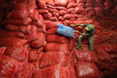 6. TARIM VE İNSAN FOTOĞRAF YARIŞMASI - Nadire GÜNDAY 