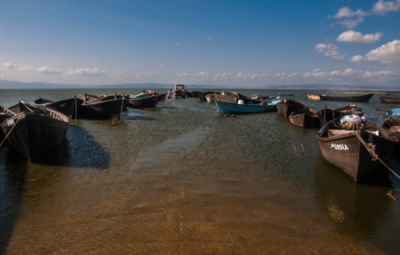 6. TARIM VE İNSAN FOTOĞRAF YARIŞMASI - Necati Enes MİLETLİ