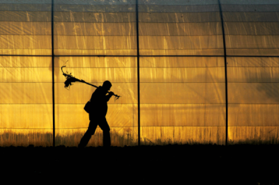 6. TARIM VE İNSAN FOTOĞRAF YARIŞMASI - Nehir AĞIRSEVEN