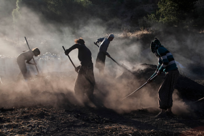 6. TARIM VE İNSAN FOTOĞRAF YARIŞMASI - Orhan KÖSE