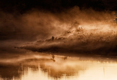 6. TARIM VE İNSAN FOTOĞRAF YARIŞMASI - Orhan KÖSE