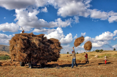 6. TARIM VE İNSAN FOTOĞRAF YARIŞMASI - Orhan KÖSE