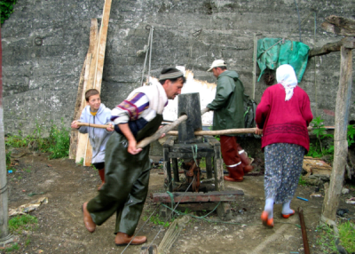 6. TARIM VE İNSAN FOTOĞRAF YARIŞMASI - Özcan Şamil GÖNÜL