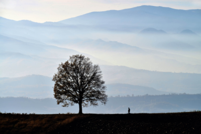 6. TARIM VE İNSAN FOTOĞRAF YARIŞMASI - Resul GÜMÜŞ