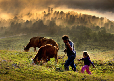 6. TARIM VE İNSAN FOTOĞRAF YARIŞMASI - Sabri ALTUN