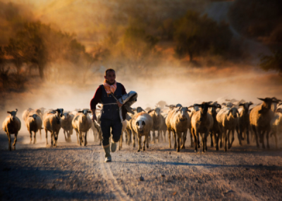 6. TARIM VE İNSAN FOTOĞRAF YARIŞMASI - Seçkin YENİCİ 