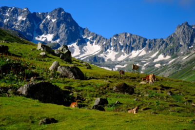 6. TARIM VE İNSAN FOTOĞRAF YARIŞMASI - Serdar ŞEKER