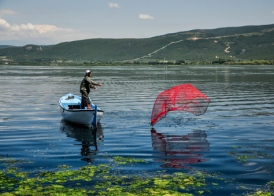 6. TARIM VE İNSAN FOTOĞRAF YARIŞMASI - Seval Oral NURTAN 