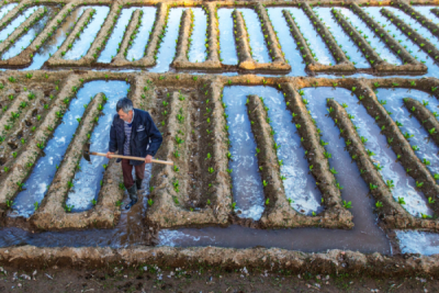 6. TARIM VE İNSAN FOTOĞRAF YARIŞMASI - Şaziye YARALI 