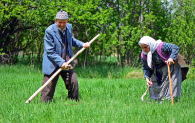 6. TARIM VE İNSAN FOTOĞRAF YARIŞMASI - Tahir AKAY