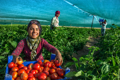 6. TARIM VE İNSAN FOTOĞRAF YARIŞMASI - Ulcay ÖZAL