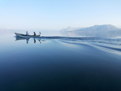 6. TARIM VE İNSAN FOTOĞRAF YARIŞMASI - Ülfü DEMİRDAĞ