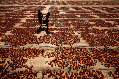 6. TARIM VE İNSAN FOTOĞRAF YARIŞMASI - Ümmü KANDİLCİOĞLU