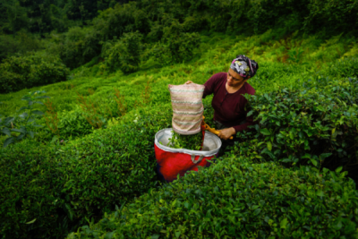 6. TARIM VE İNSAN FOTOĞRAF YARIŞMASI - Yakup YENER
