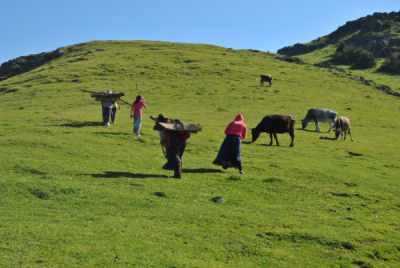 6. TARIM VE İNSAN FOTOĞRAF YARIŞMASI - Yasin KORKUSUZ 