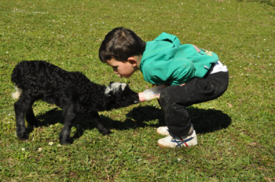 6. TARIM VE İNSAN FOTOĞRAF YARIŞMASI - Yunus YILDIRIM