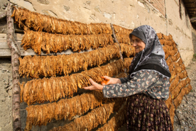 6. TARIM VE İNSAN FOTOĞRAF YARIŞMASI - Zeki YAVUZAK