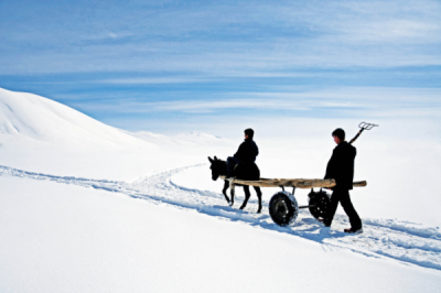 7. TARIM VE İNSAN FOTOĞRAF YARIŞMASI - Ahmet Fatih SÖNMEZ